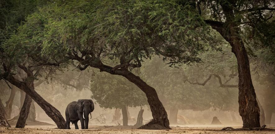 ѧ���ڶ������ķ�����Ϣ����׳�ɳ���ʹ�������������������ش���