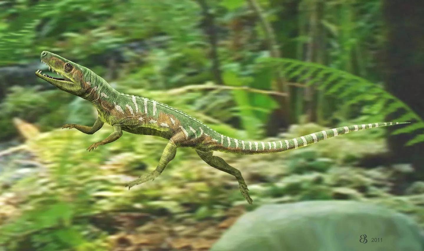 研究表明恐龙和鳄鱼的祖先能够迁徙到被认为完全不适合居住的地区