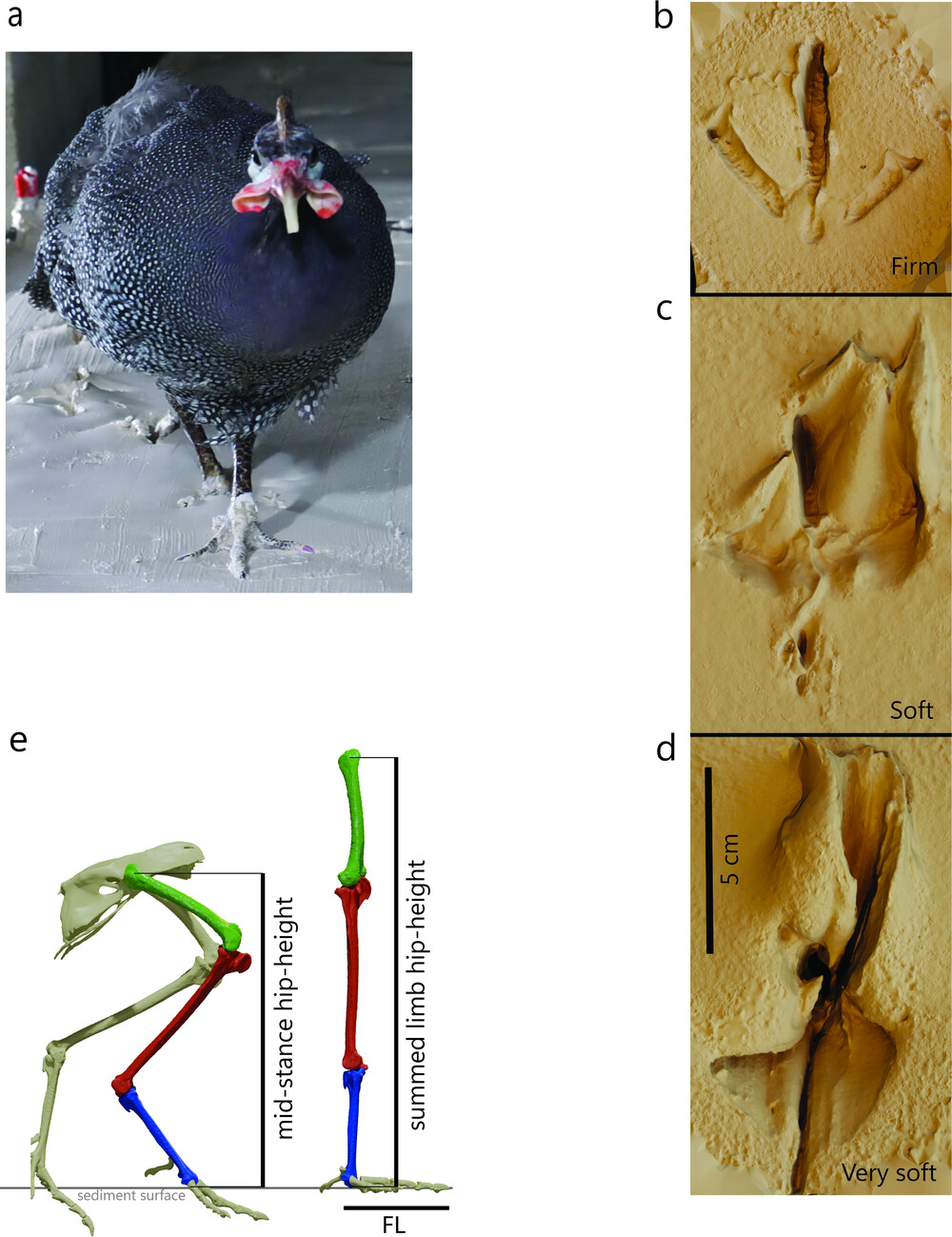 ۲鼦ϱܱڼٶȵѧܲ׼ȷ