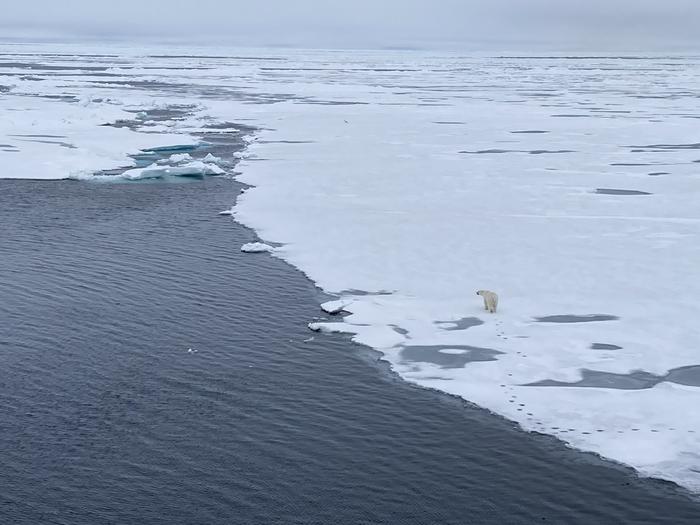 ������δ��գ��о������ڱ���ʱ����������Ȼ����������