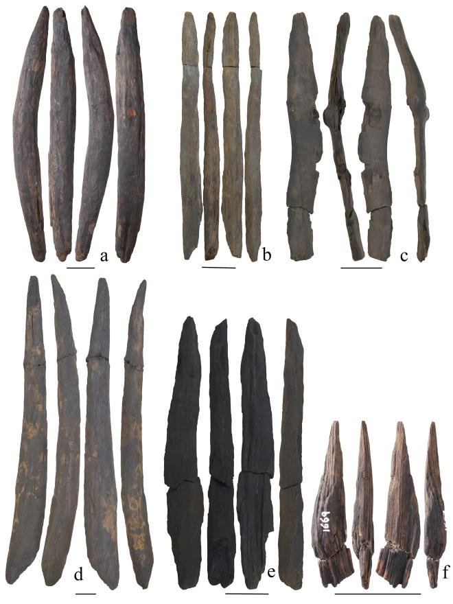 ʯ��ʱ���й�������ľ�ƹ��߽�ʾ�˹Ŵ�����������ֲ��Ϊ���������ʽ