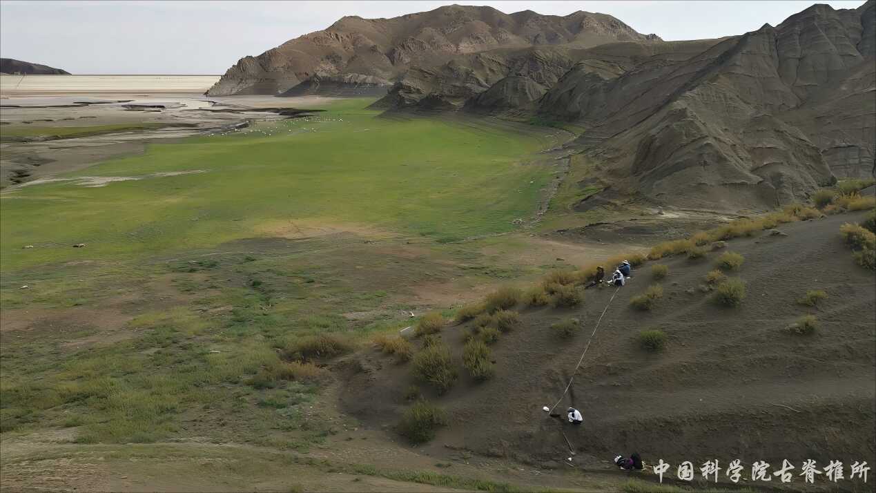 ��ѧ��֤�ݽ�ʾ�����Ϳ�����ʪ��Ļ������-̼ѭ���仯