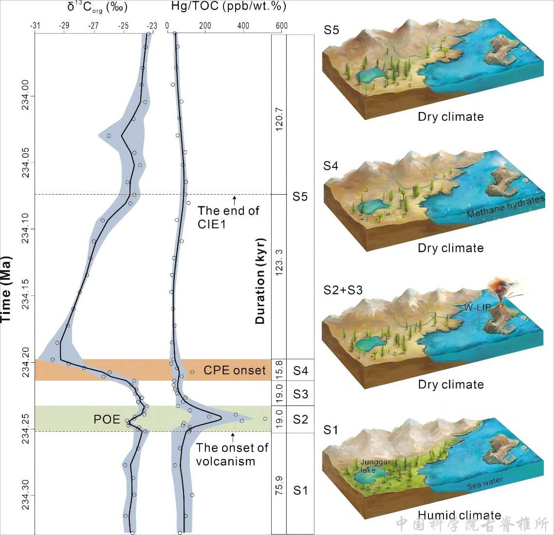 ��ѧ��֤�ݽ�ʾ�����Ϳ�����ʪ��Ļ������-̼ѭ���仯