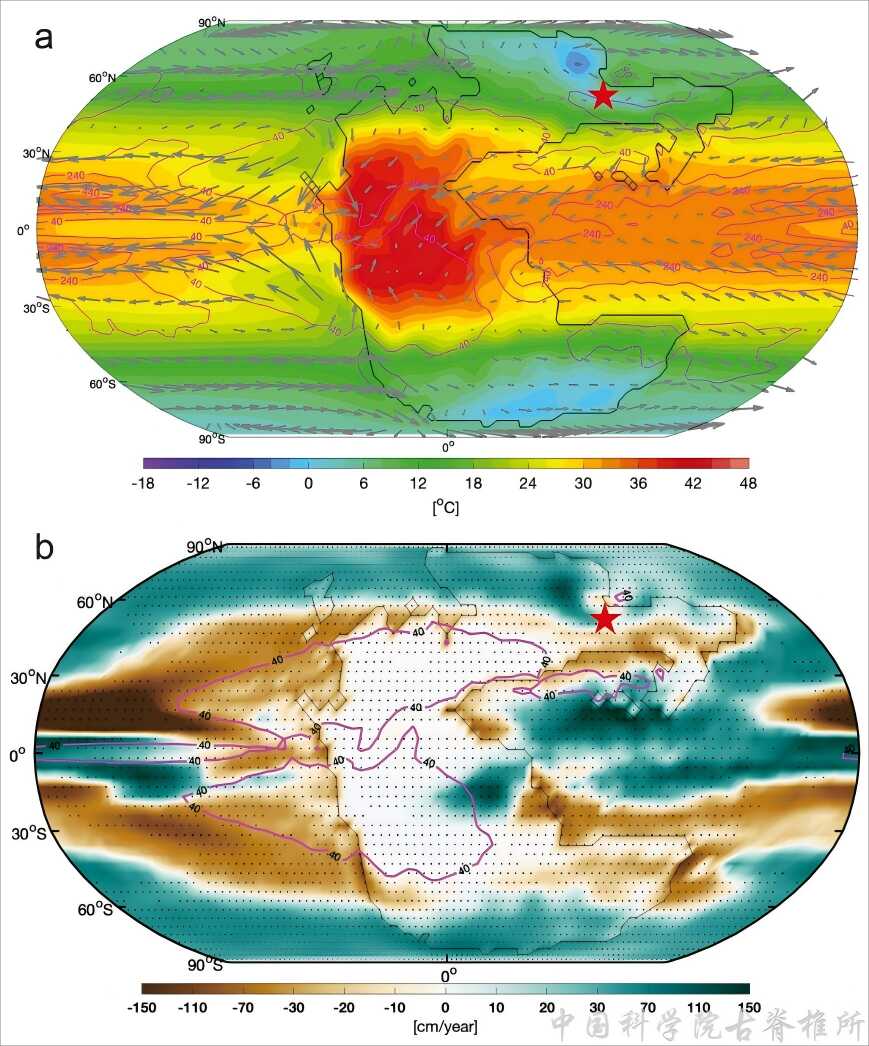 ��ѧ��֤�ݽ�ʾ�����Ϳ�����ʪ��Ļ������-̼ѭ���仯