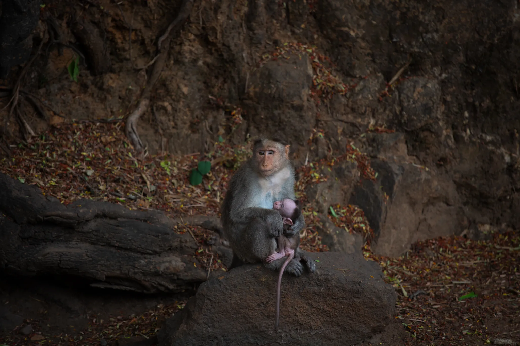 ΪʲôԽغĴСܽǶص°