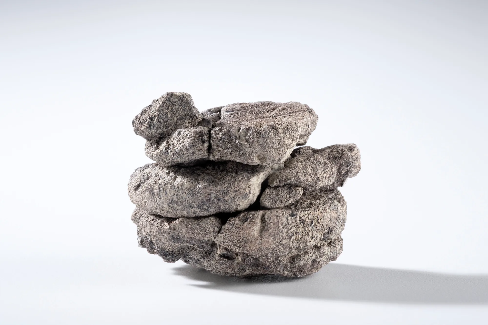 ���������ͣ�����·��ֿ�����ͷ