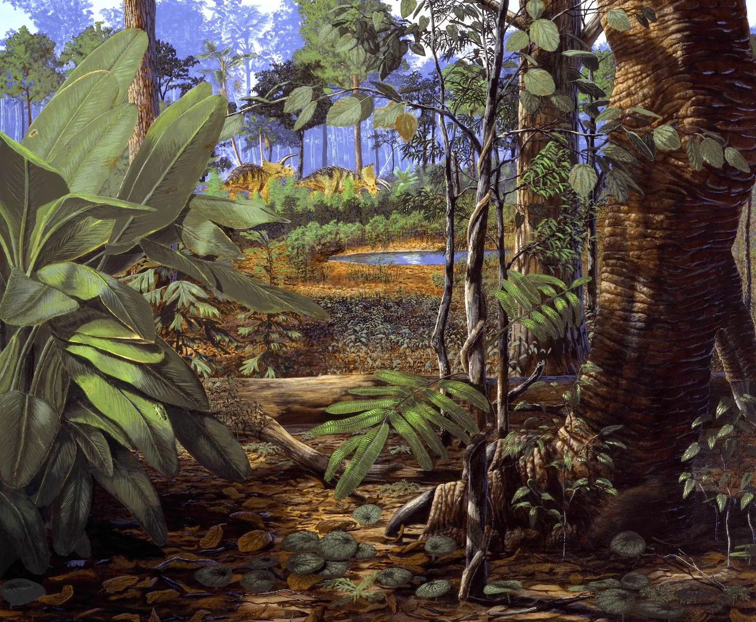 ���������ͣ�����·��ֿ�����ͷ