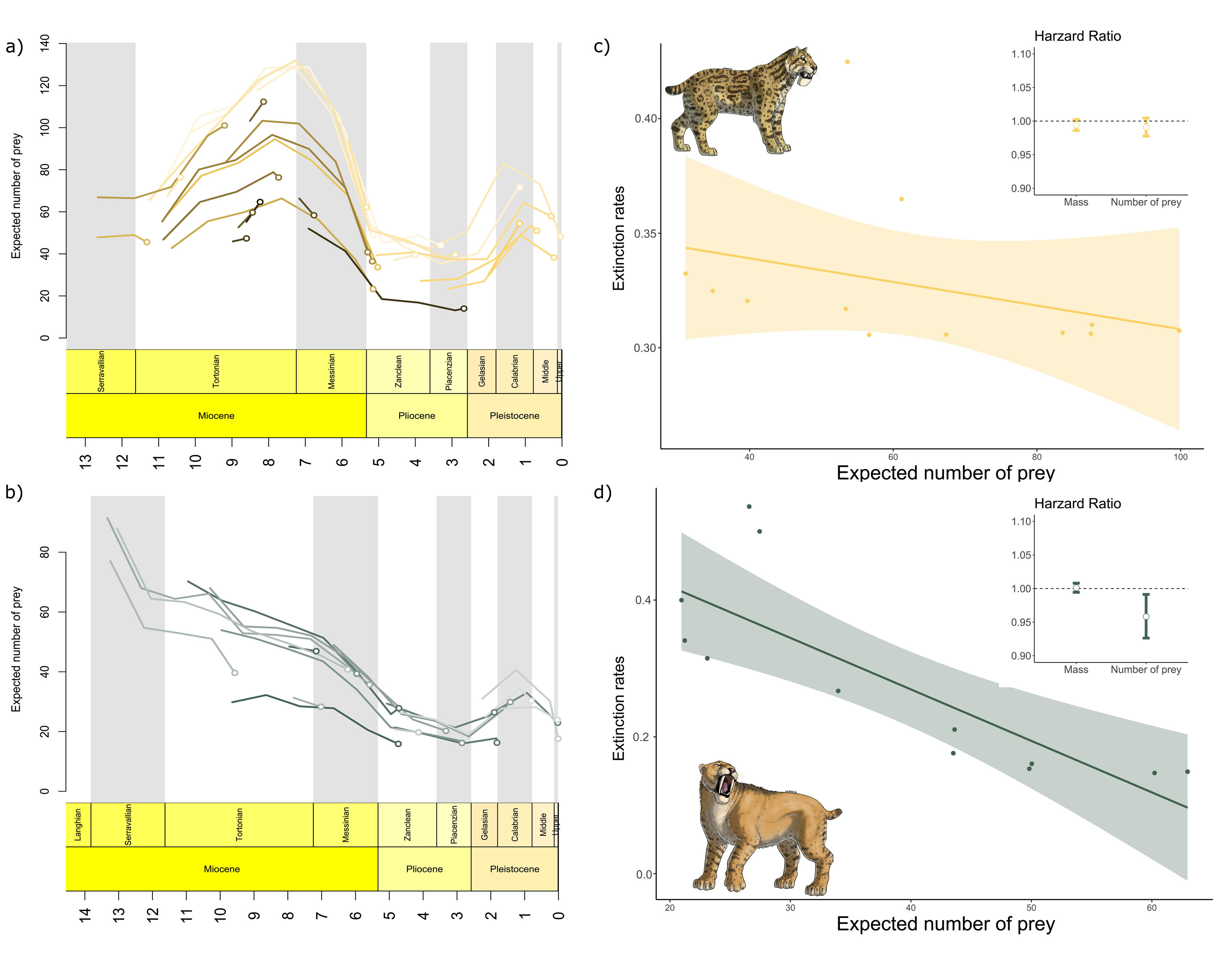 研究发现,猎物供应的减少是剑齿虎灭绝的决定性因素