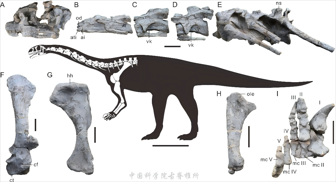 �����䶨���ֶ������������������