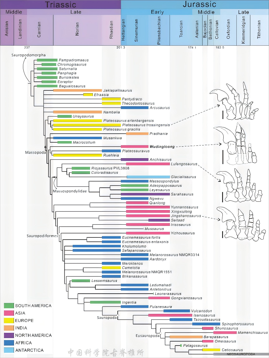 �����䶨���ֶ������������������