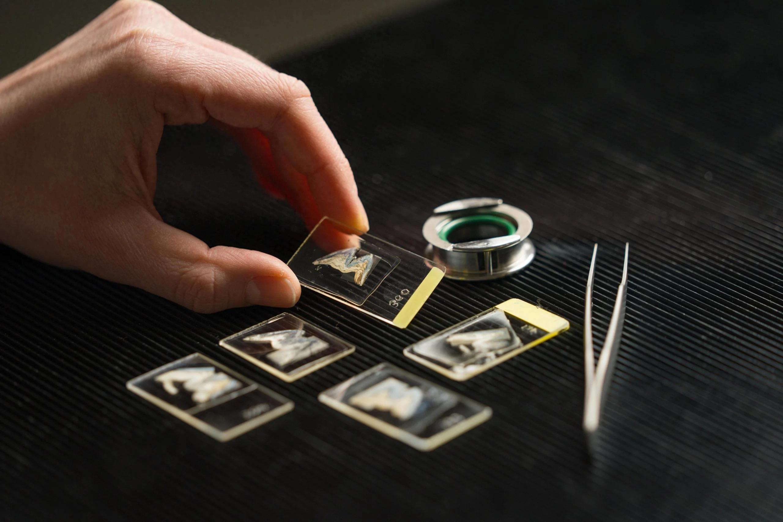 11000��ǰ�����磺��ʯ��ʱ�������ǰ�Ұ���Ϲ���ɽ