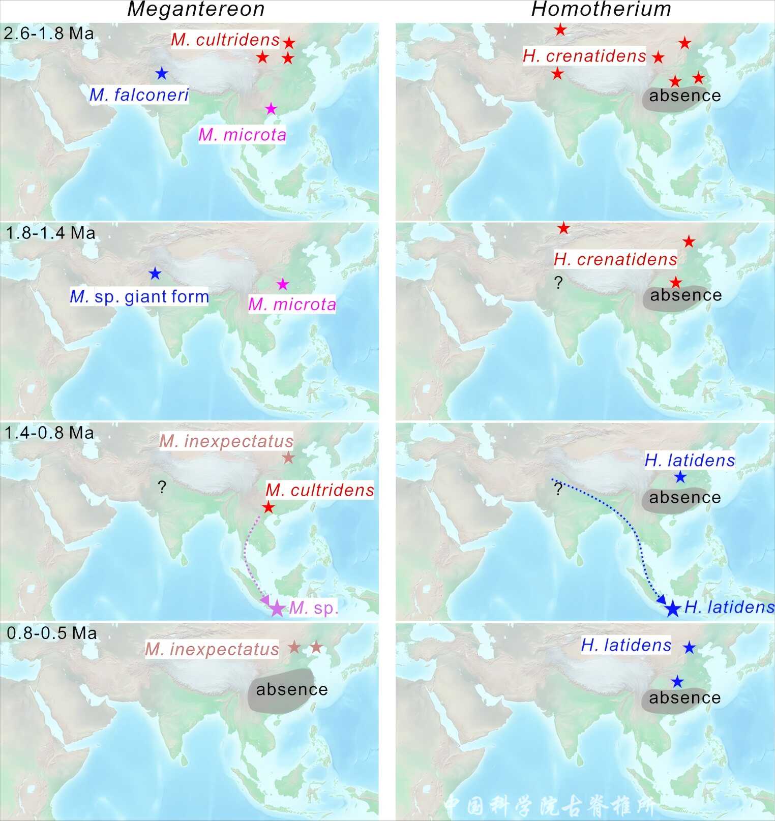 ӡ��������צ��ɣ������ַ������������ڣ��İ�����򤻢�����������ѧ����