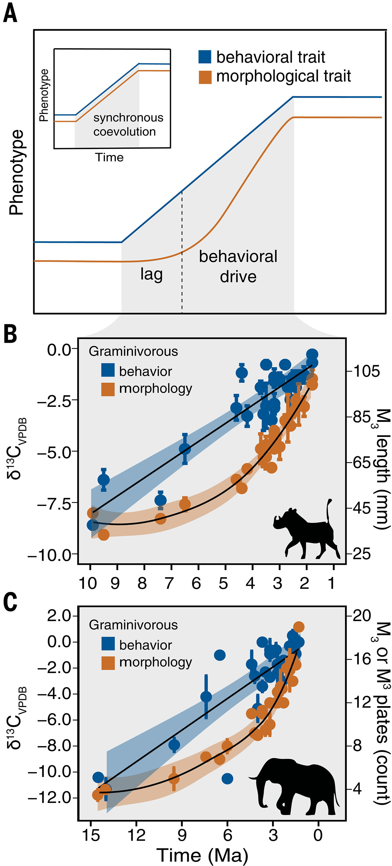 ��Ϊ�����鳤�ද���ݻ������е���̬�仯