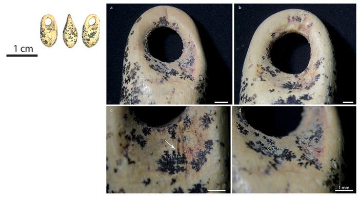 ���ھ�׷����ŷ�˵������˵Ķ���