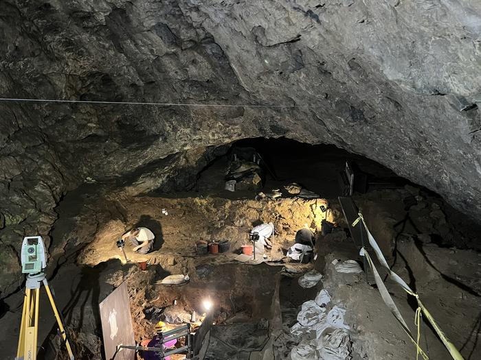 ���ھ�׷����ŷ�˵������˵Ķ���