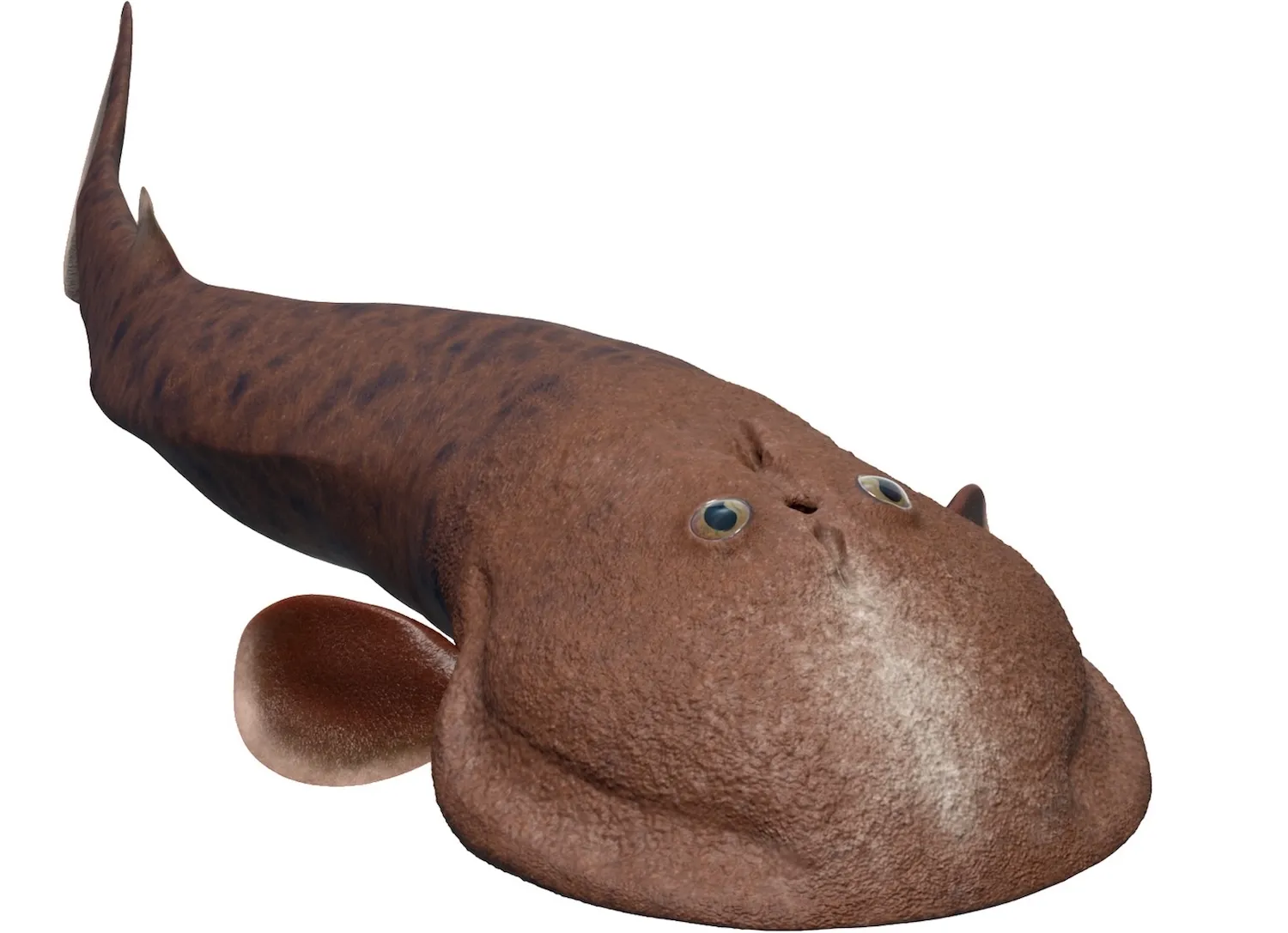 一条眼睛黏糊糊的鱼可能会颠覆进化史