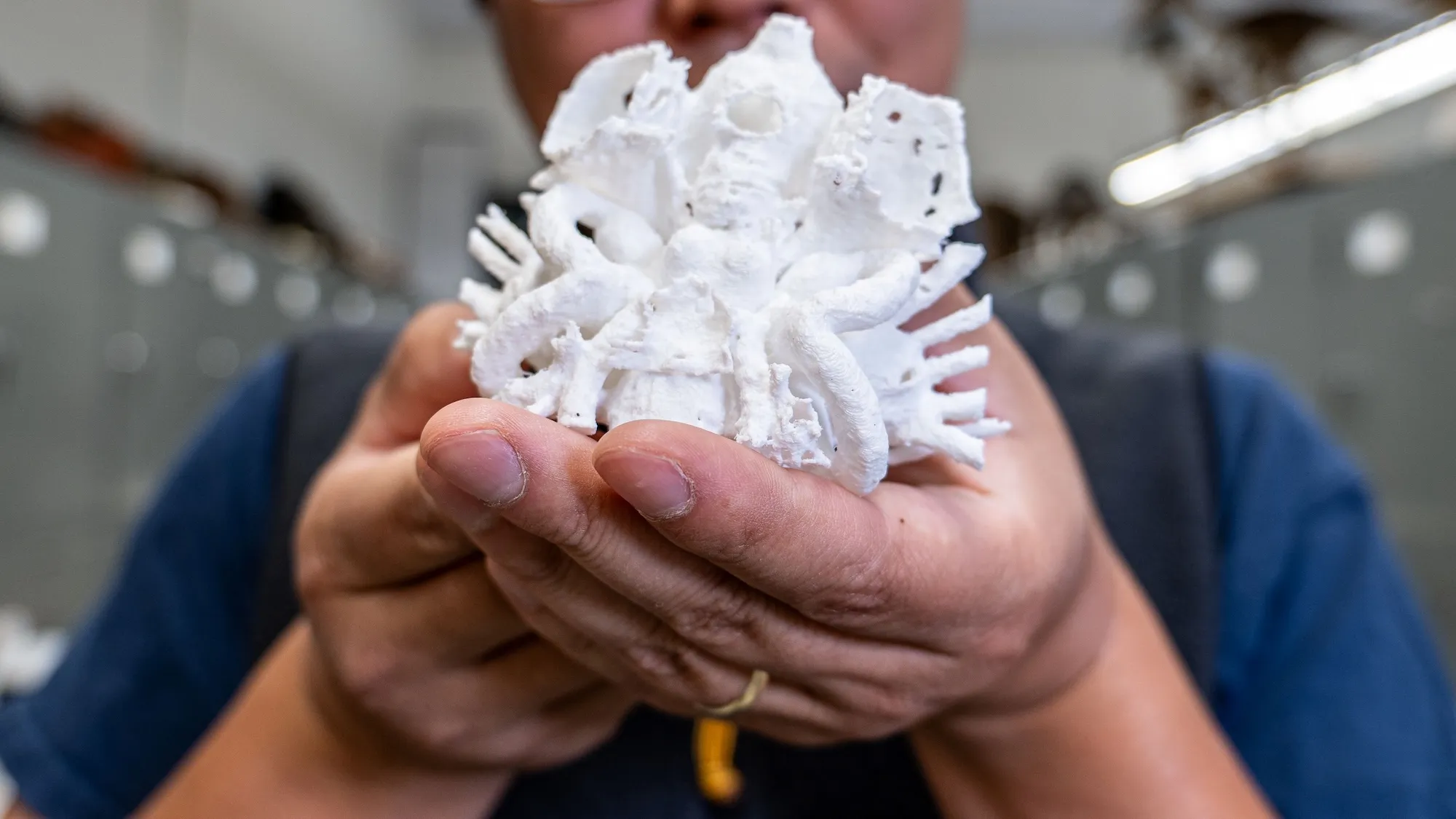 一条眼睛黏糊糊的鱼可能会颠覆进化史