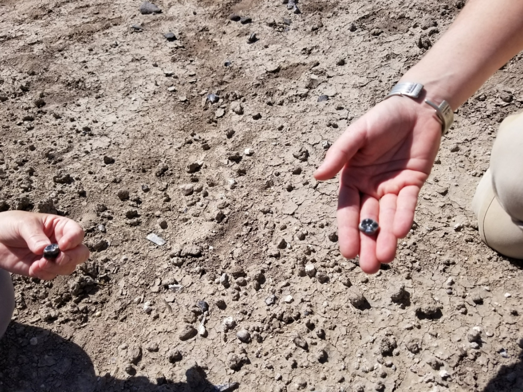 ѧҷµĻʯԼһµĹŴ