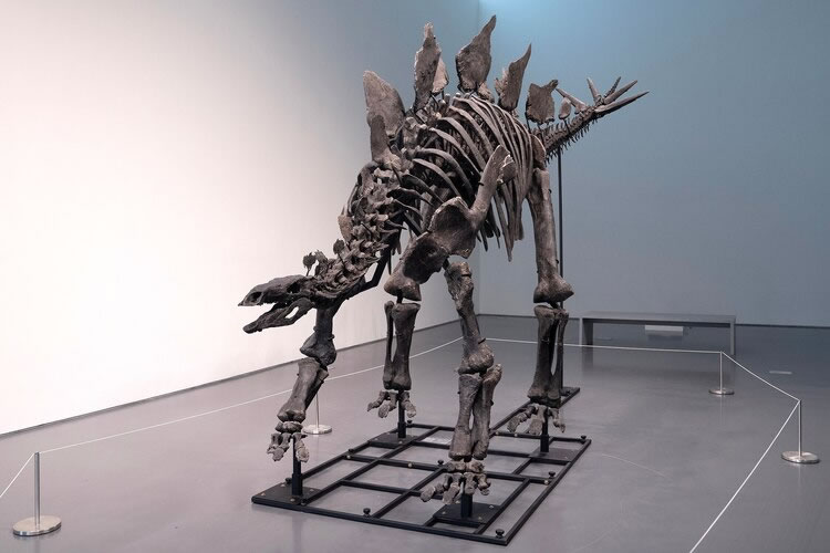 ѧ˵ʯǿѧ֤ݣӦԪļ۸˽