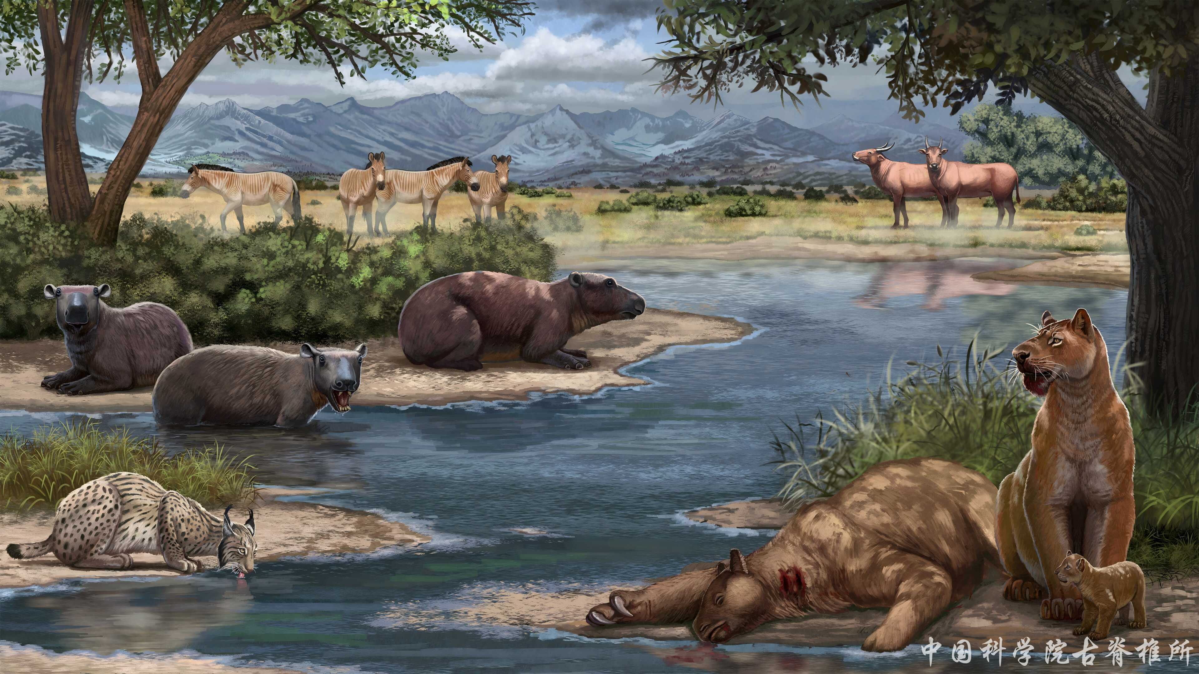 �й���ѧ���״η�����������������ú���צ��������������ͷ��