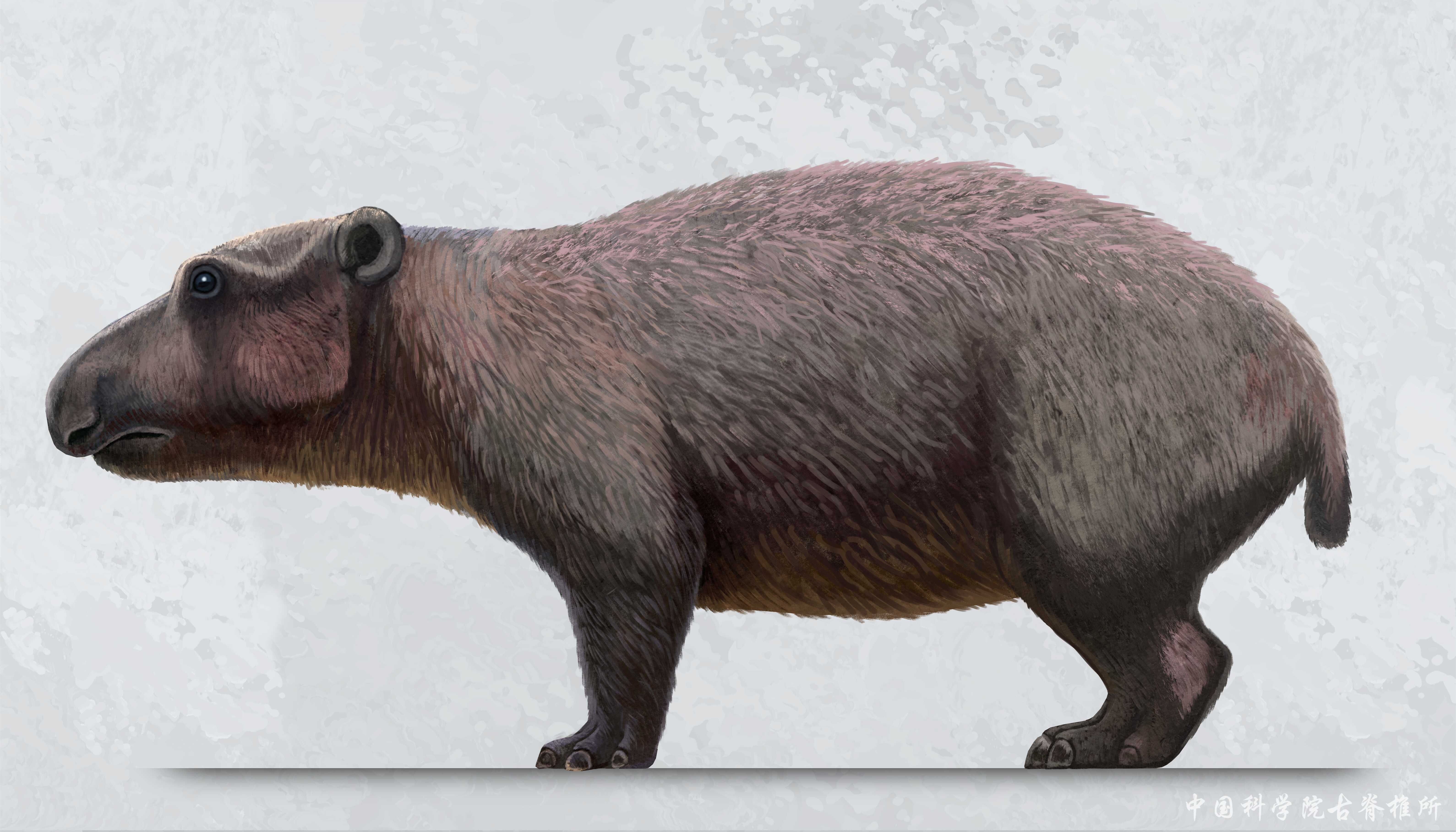 �й���ѧ���״η�����������������ú���צ��������������ͷ��