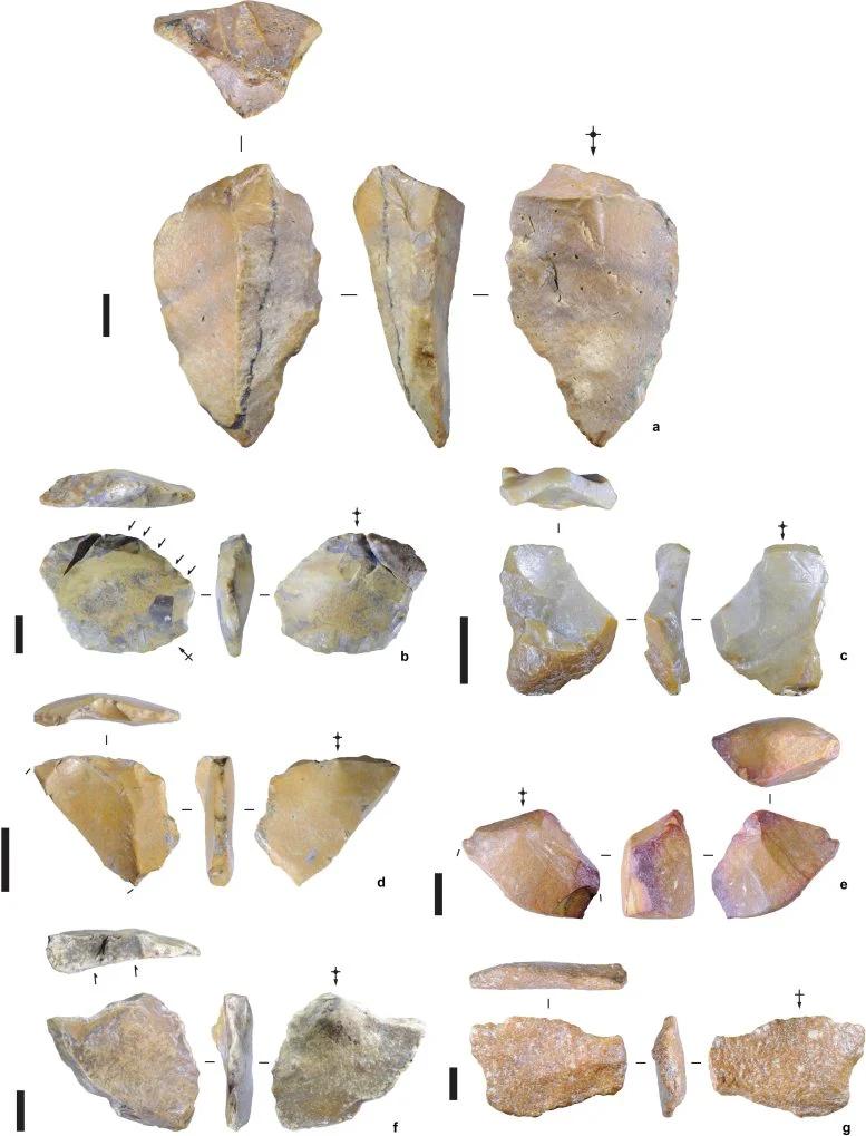 印度尼西亚出土百万年前石器 挑战人类进化时间表