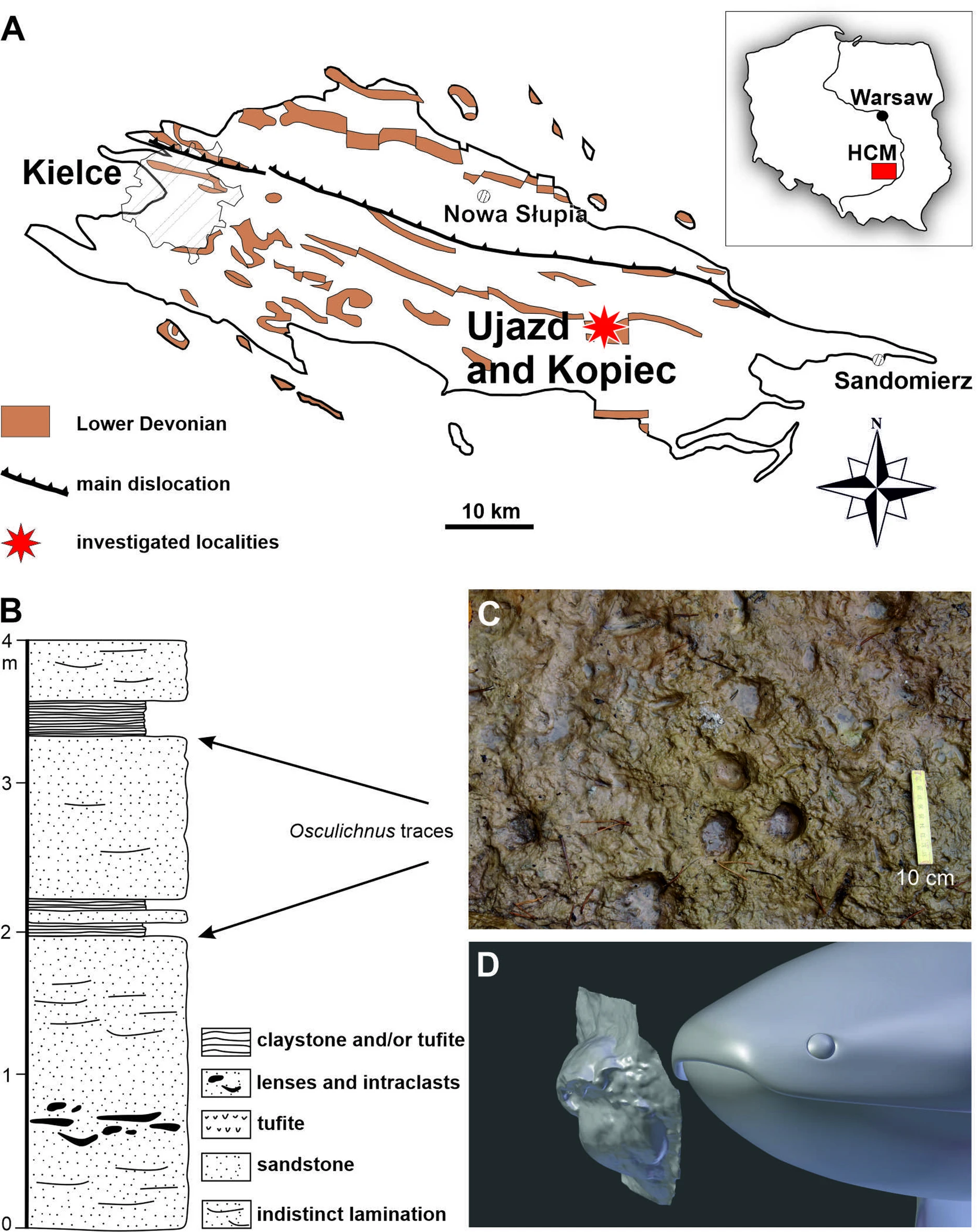 鱼类的足迹化石显示出最早的陆地移动适应能力