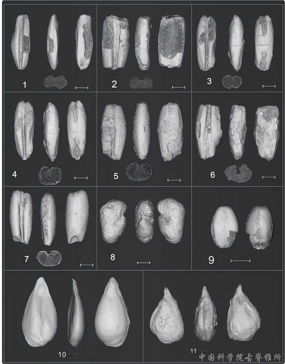 ǰʯĻԼ9000 BPũҵΪոʳô