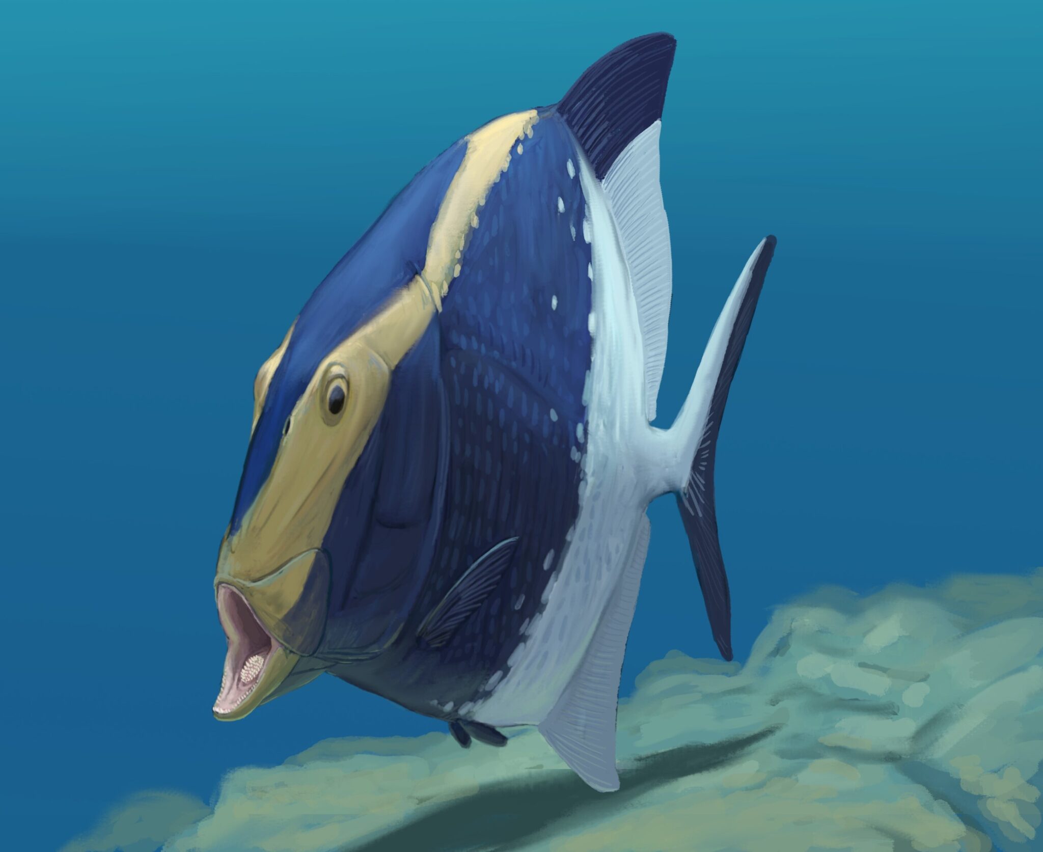 ��ѧ�ҷ���3.1����ǰ��������������š��ڶ����족