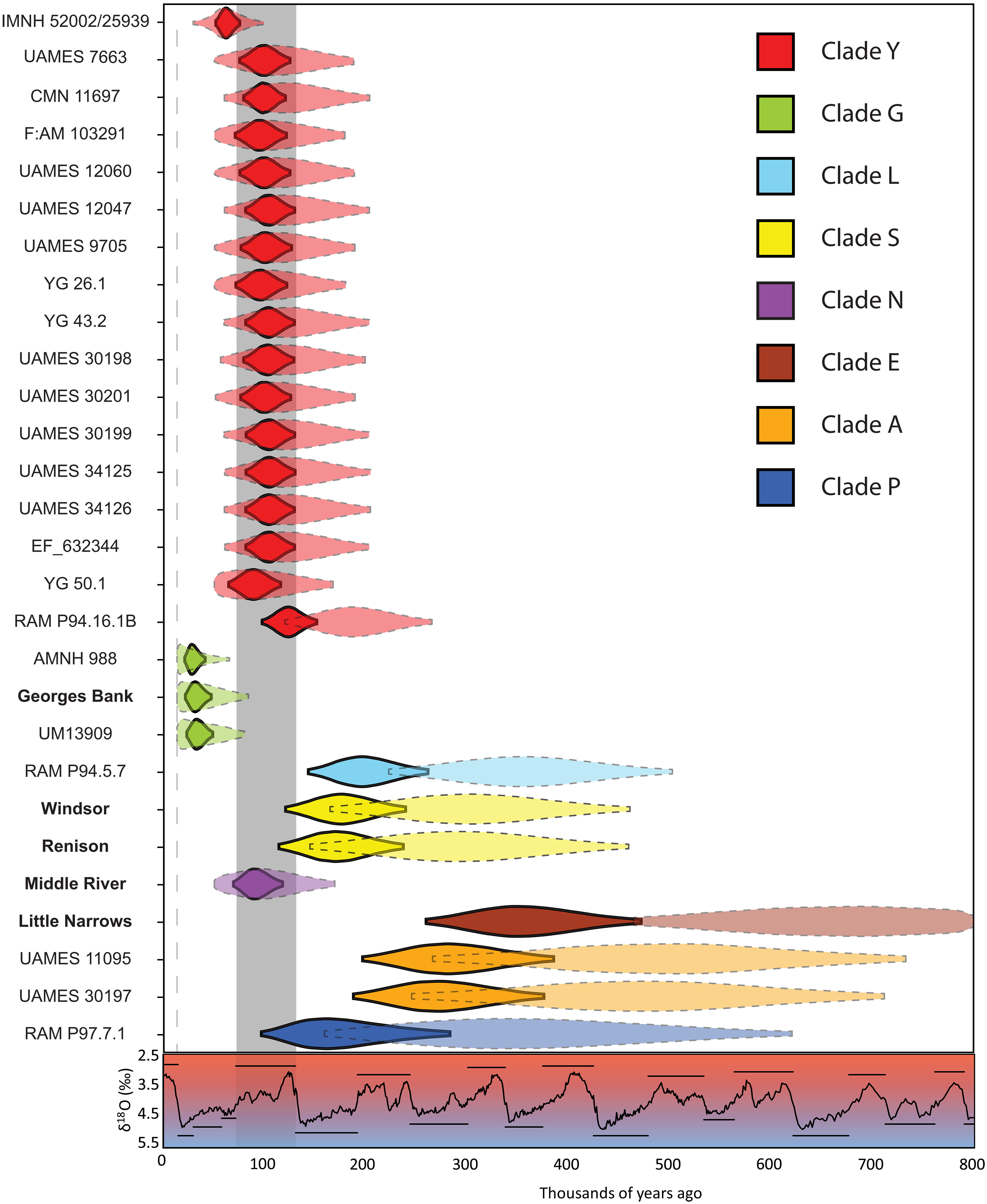古代DNA揭示了极其复杂的乳齿象家族和气候变化驱动的反复迁徙