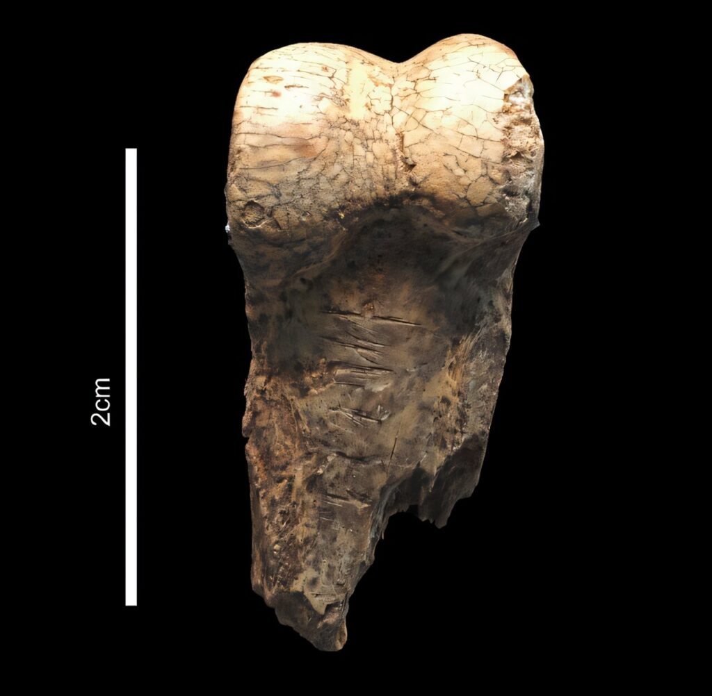 36,000ǰܣоʾһӵ½Ϣ