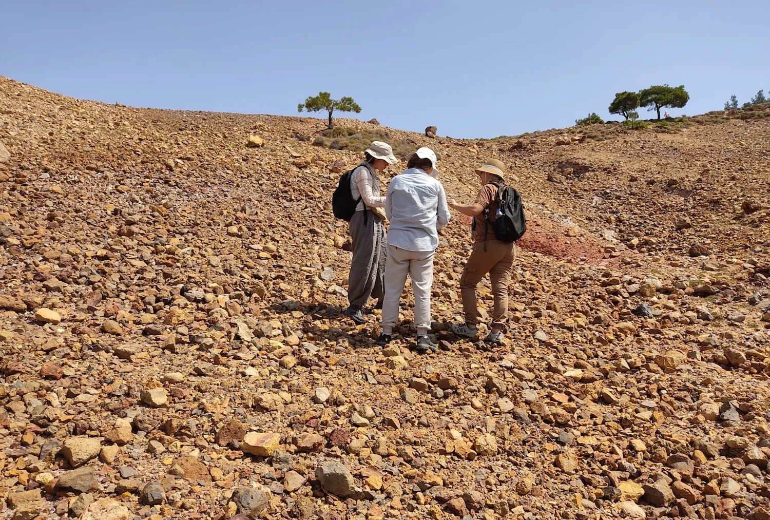 ��������ͨ��������ı���ʱ��½�ŵ���ŷ��