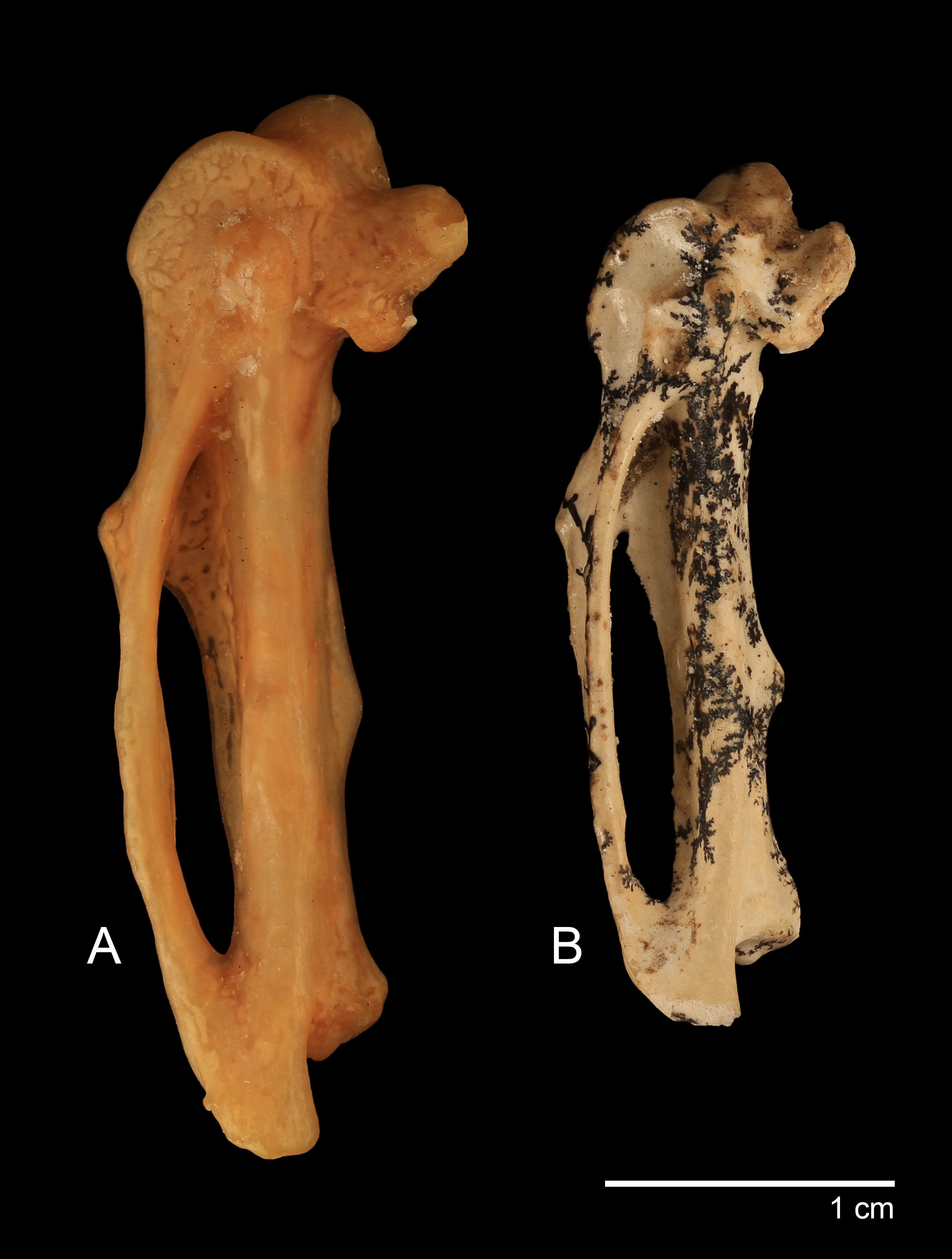 �Ĵ����Ƿ���1700����ǰ�Ĵ���������ݻ�ʯ