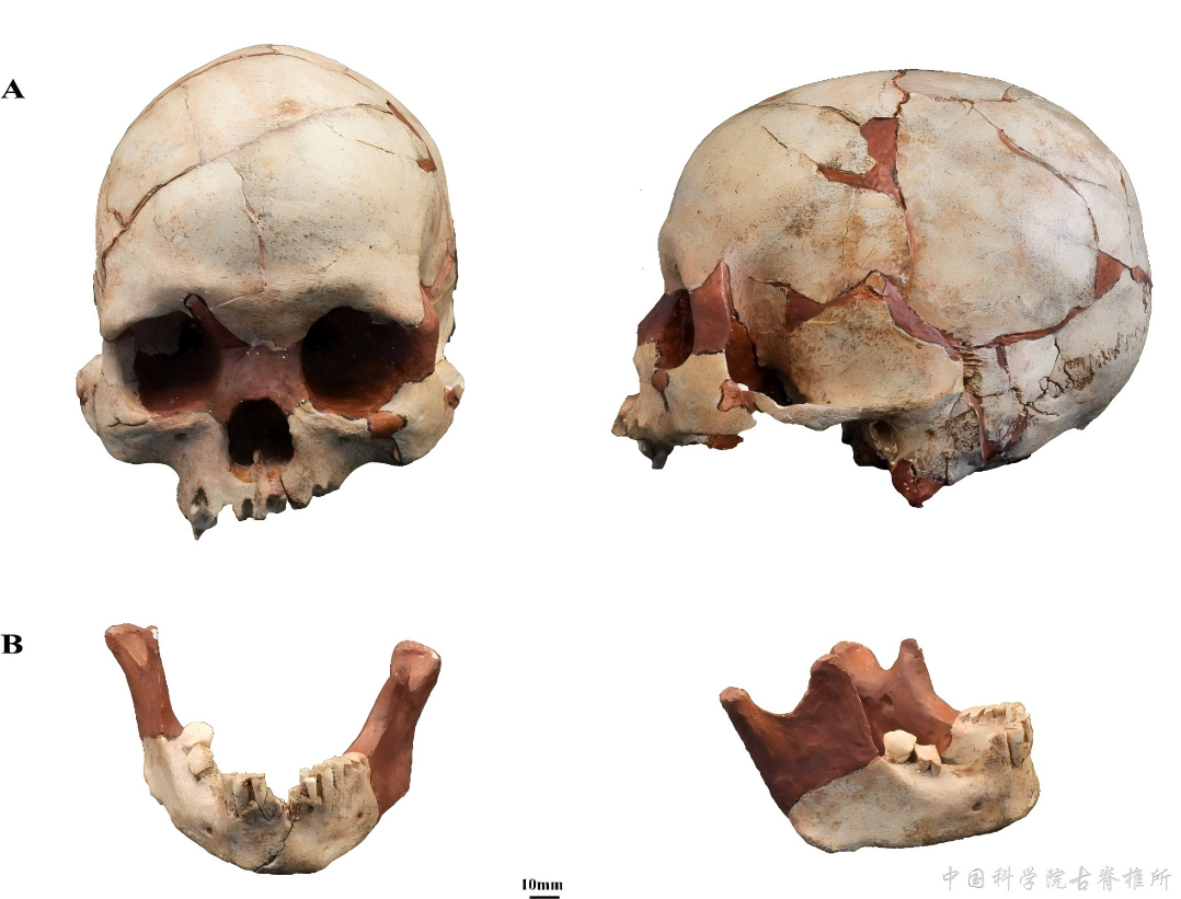 櫻����˵�­�沿��̬��ʾ������ĩ�ڶ����ϲ���Ⱥ­�������ֻ��븴����Ⱥ��ʷ