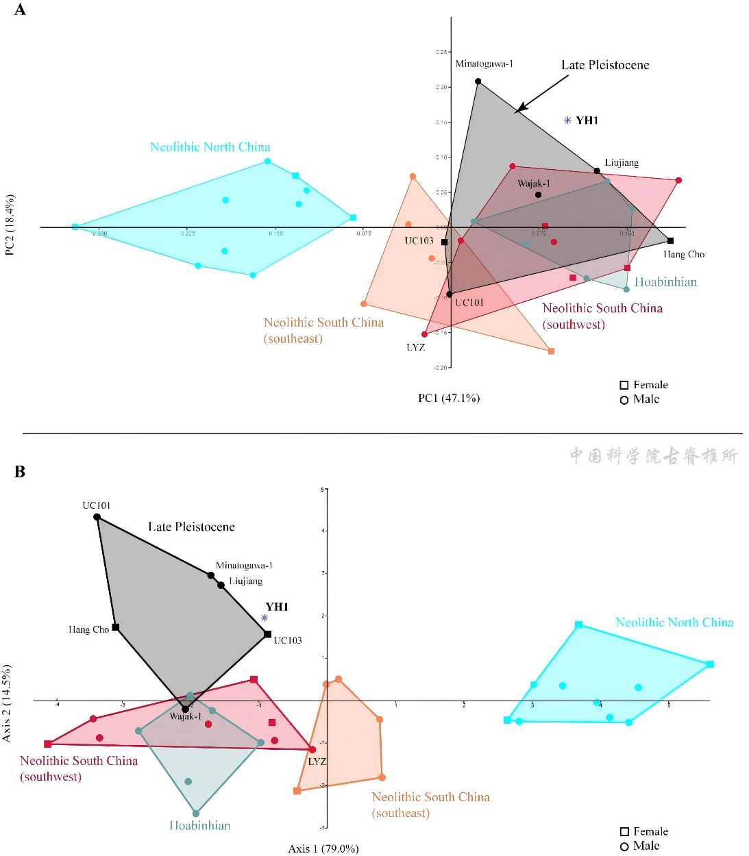 櫻����˵�­�沿��̬��ʾ������ĩ�ڶ����ϲ���Ⱥ­�������ֻ��븴����Ⱥ��ʷ