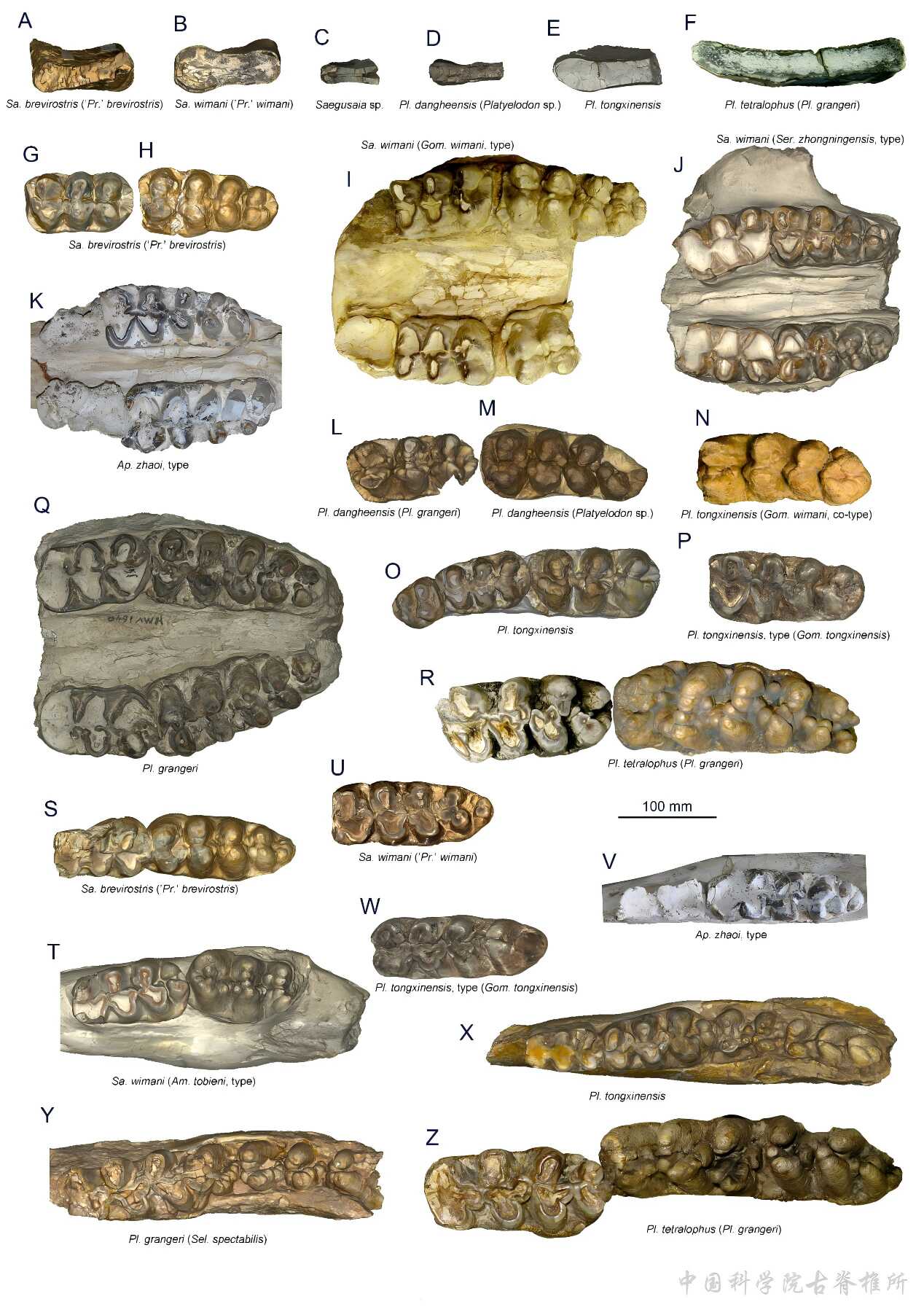 �й���ѧ���ƽ�������⣺ʷǰ