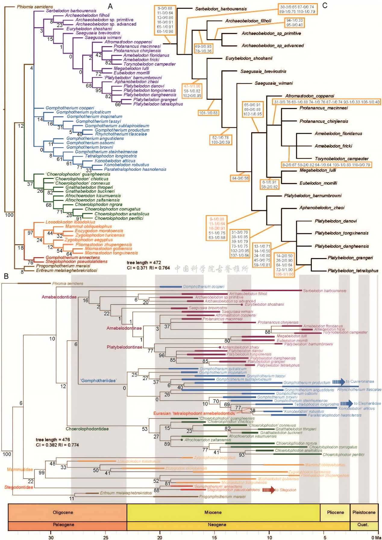 �й���ѧ���ƽ�������⣺ʷǰ