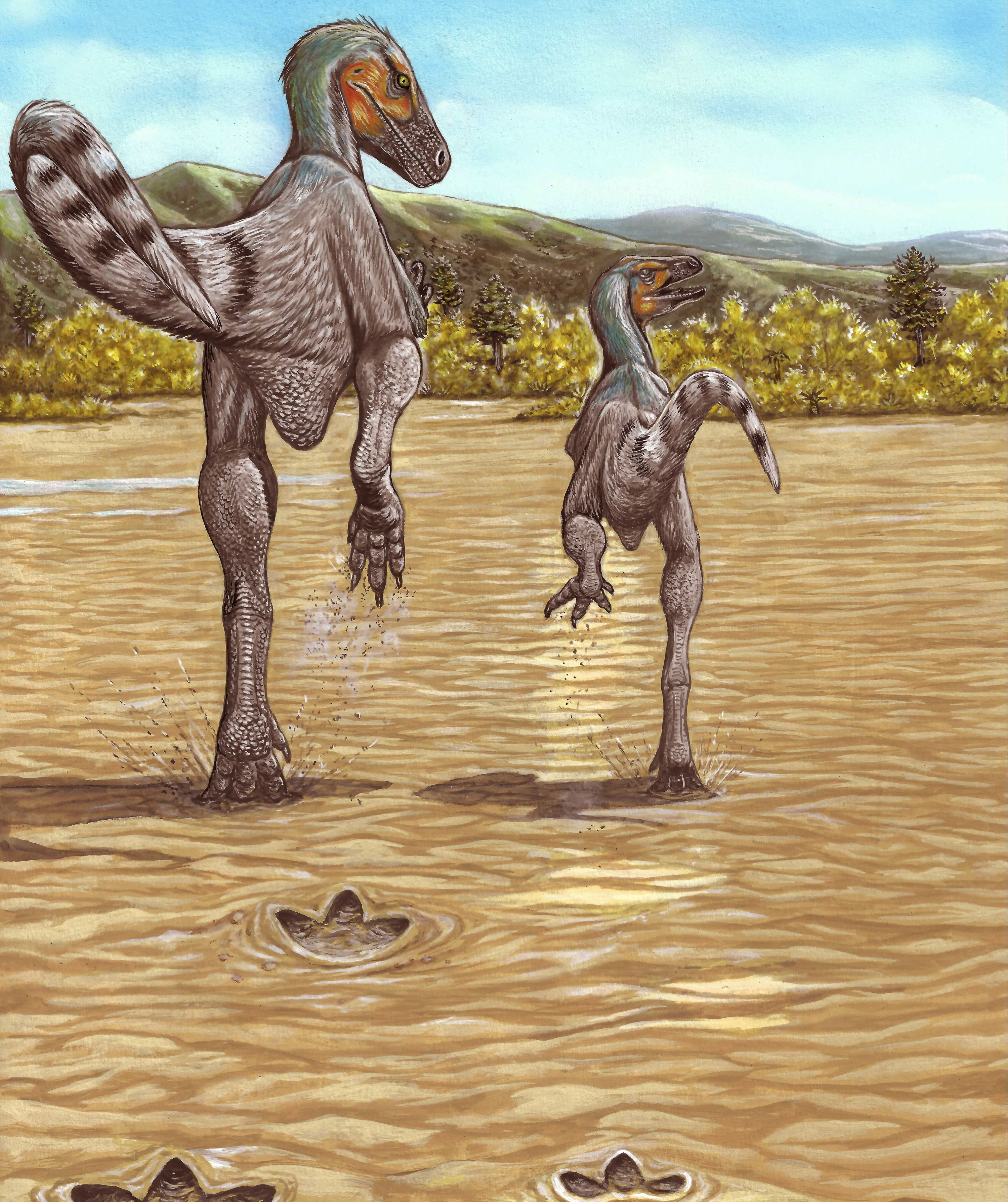 内蒙古鄂托克发现白垩纪兽脚类恐龙最快奔跑行迹