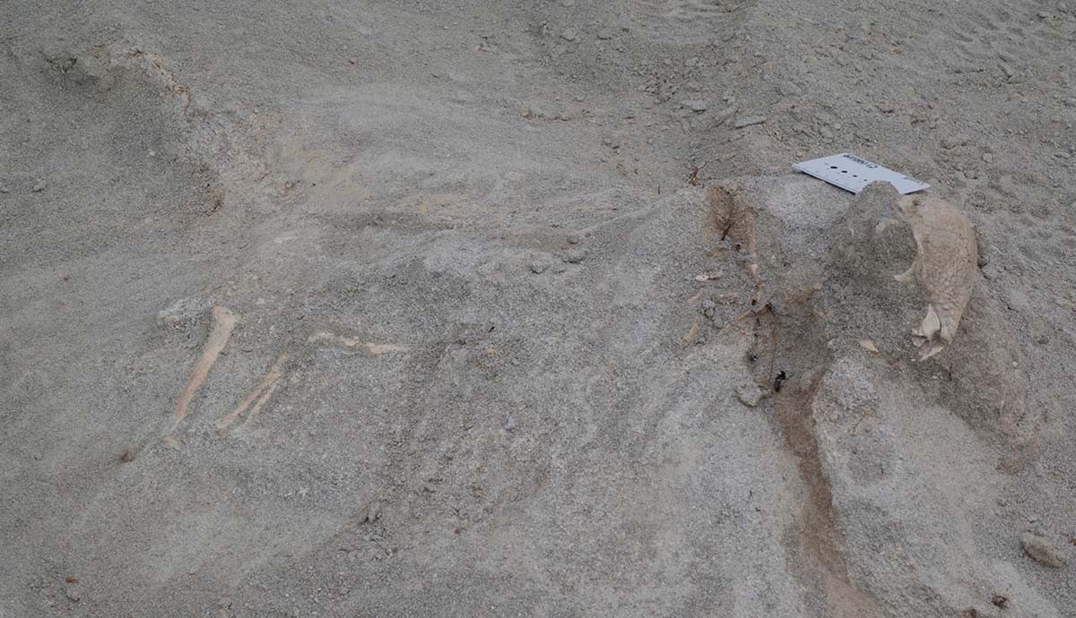 �µ�Բ��ͷ��������������Ϊֹ���ֵ��������ĺ�ͷ��