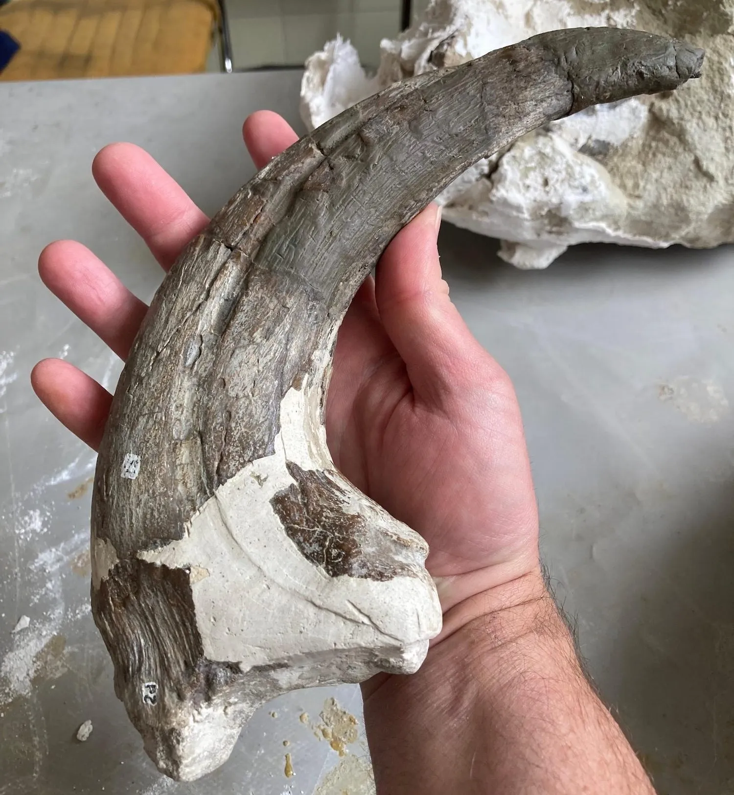 �ش�2000���Ĵ�����ڲ�ʳ����ʱ����