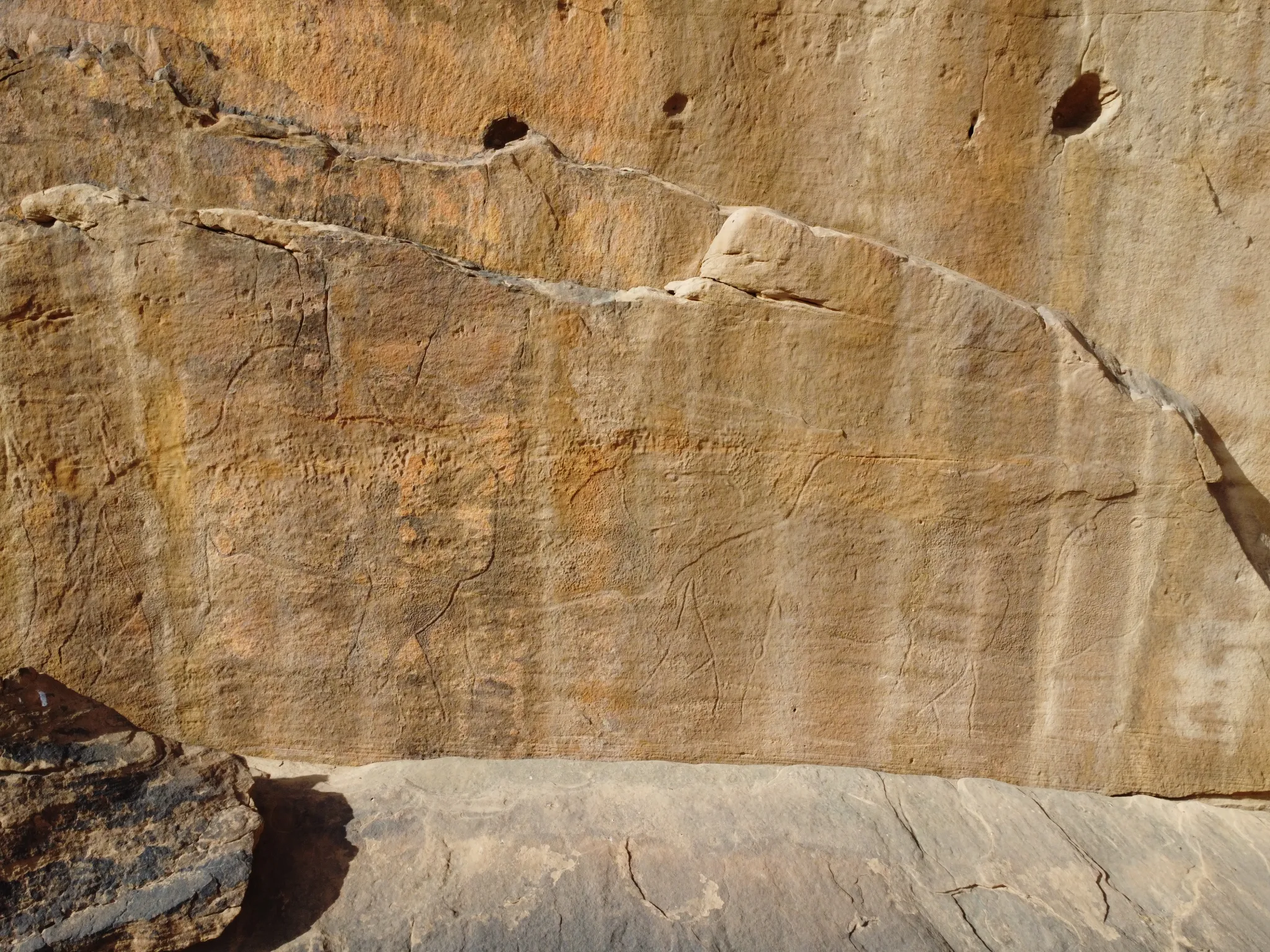 12000年前岩石艺术中描绘的骆驼