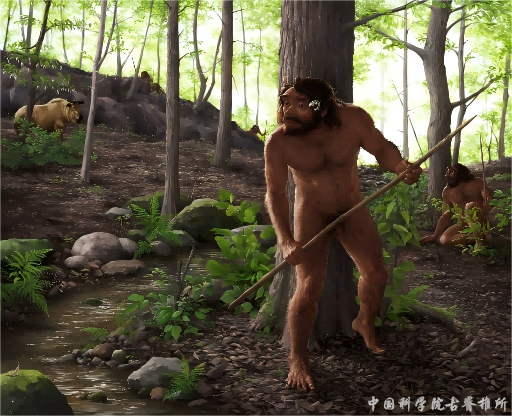 中国新研究刷新人类演化时间线,证实丹尼索瓦人属于龙人支系