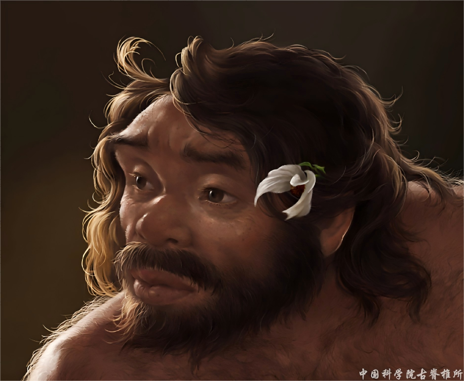 中国新研究刷新人类演化时间线,证实丹尼索瓦人属于龙人支系