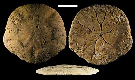 ʱڵĺ׼䣺ɳǮʯҿ̨Զź