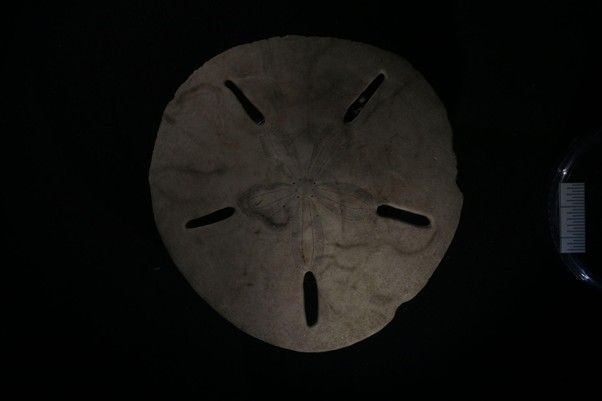 ʱڵĺ׼䣺ɳǮʯҿ̨Զź