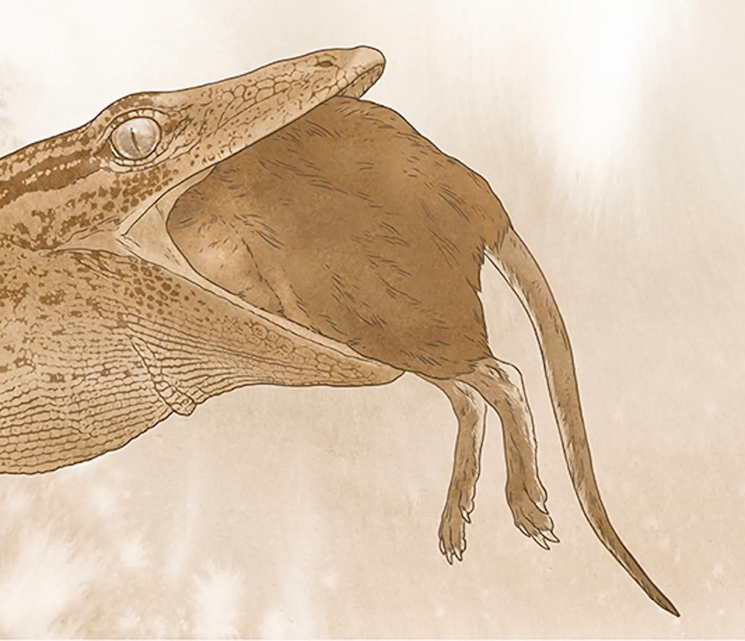 è��С��٪�޼����ж��������߰�����