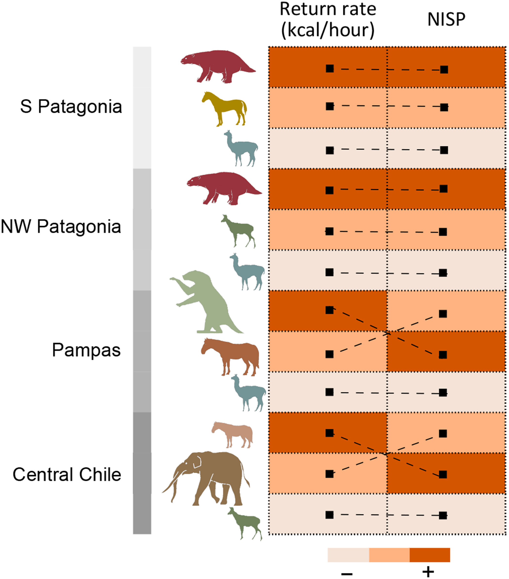 ����ѧ�ҷ��֣����������Ծ�����������������ʱ���ľ��Ͷ���Ϊʳ