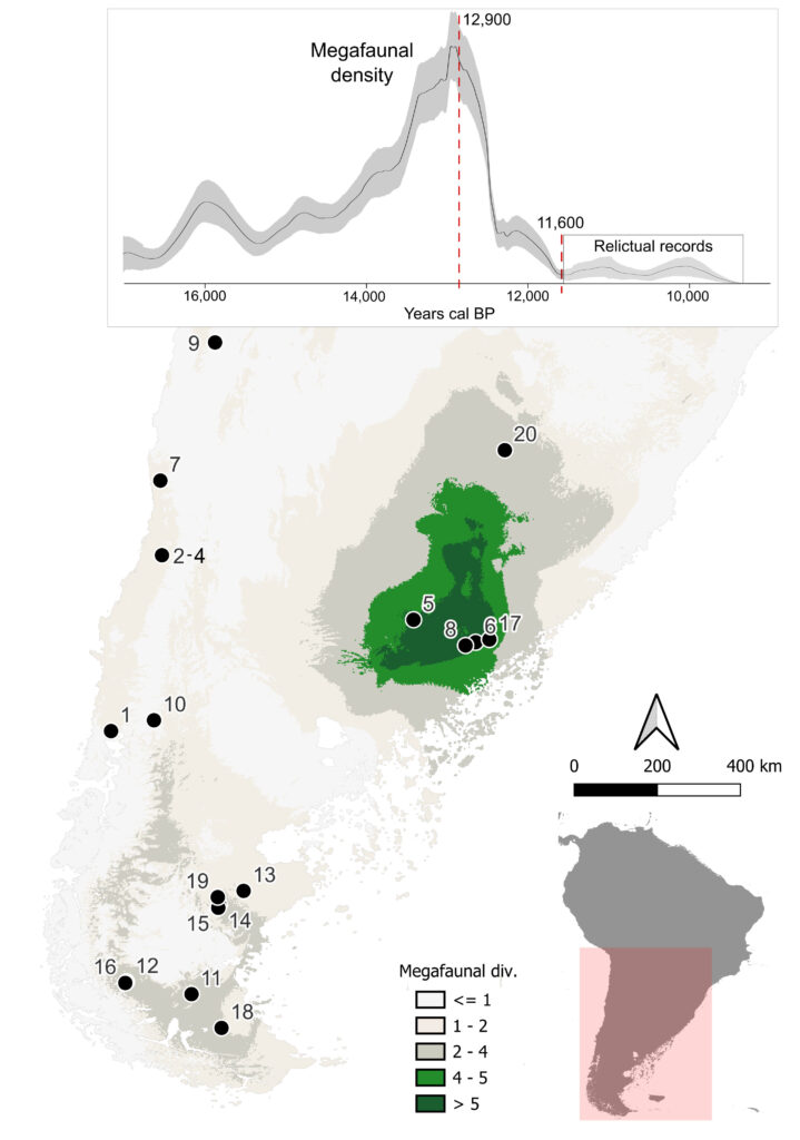 古代人类以巨型树懒为食,并可能将它们吃到灭绝