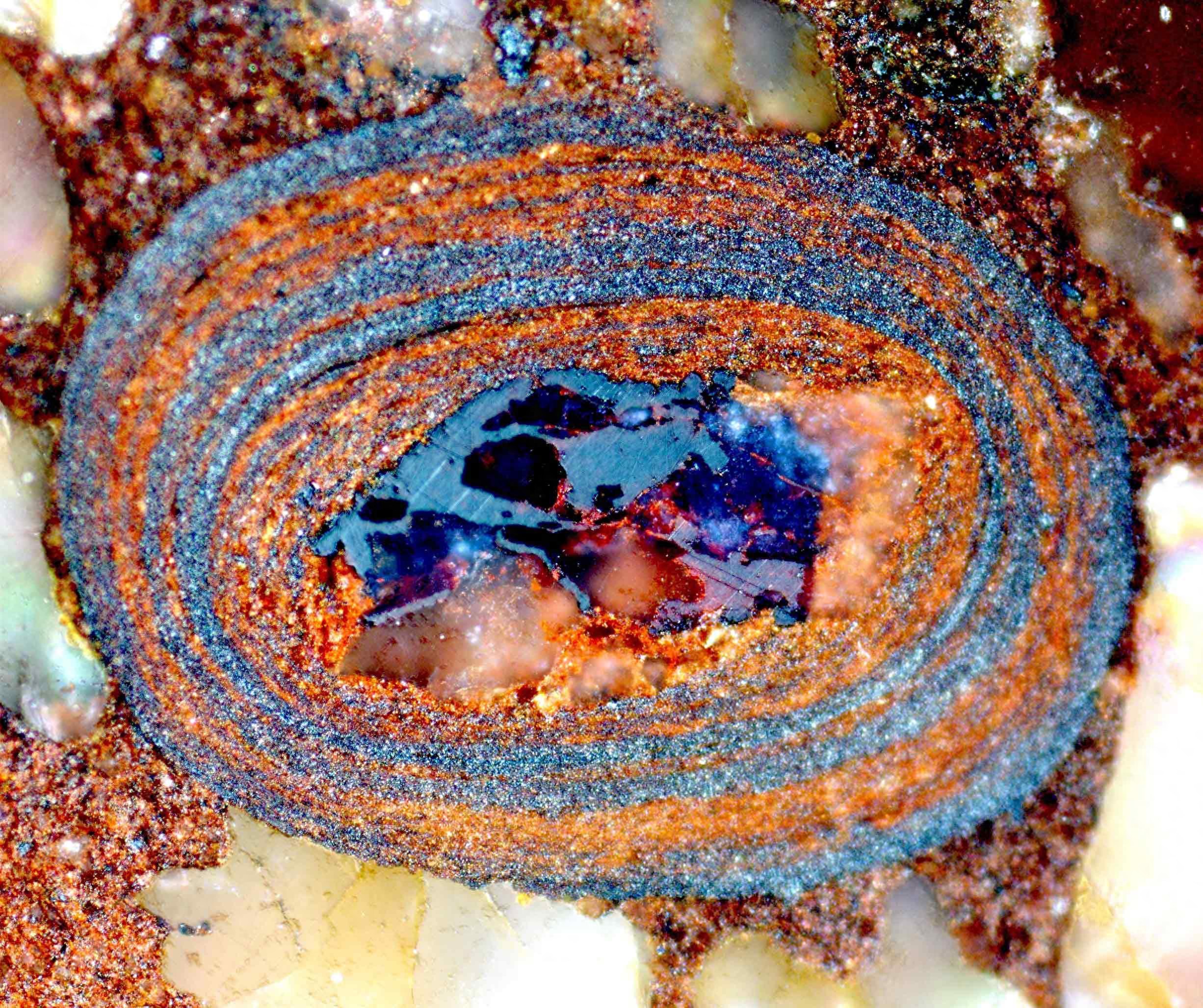 蛋形铁氧化物小石揭开地球最早生命的神秘历史