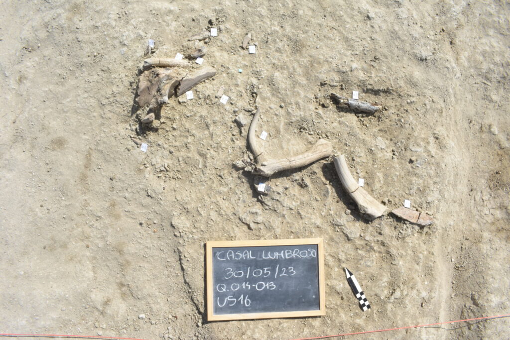 ѧ40ǰġʢ硱ַıǶ˽